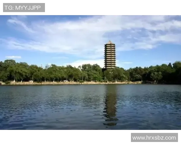 北京篮球队的奋斗历程与荣耀时刻全景纪实