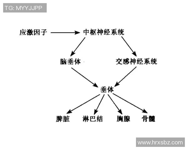 卡卡的足球生涯与年龄的关系探讨及其影响力分析