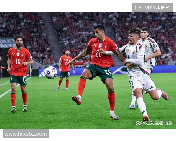 足球明星真人版：重温绿茵传奇与球场背后的真实故事