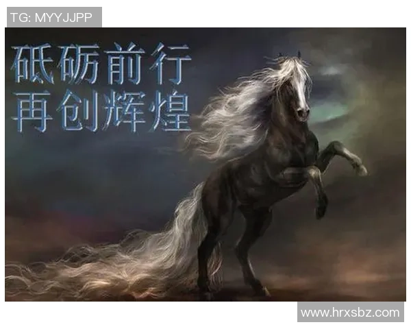 武汉排球队的辉煌征程与大满贯梦想的实现之路